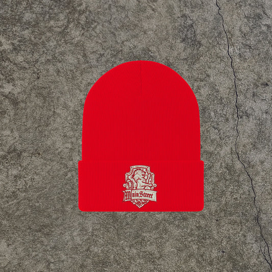 Beanie Grifondoro w/ Embroidered Patch